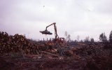 scan432.jpg