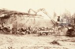 scan435.jpg