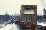 scan437.jpg