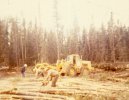 scan448.jpg
