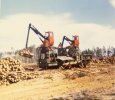 scan450.jpg