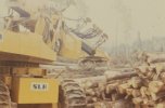 scan463.jpg