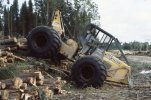 scan470.jpg