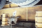 scan484.jpg