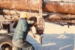 scan485.jpg