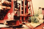 scan486.jpg