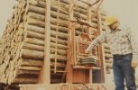 scan489.jpg