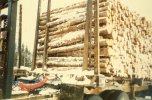 scan506.jpg