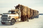 scan531.jpg