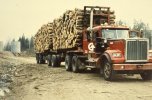 scan532.jpg