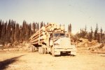 scan542.jpg