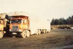 scan544.jpg