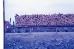 scan554.jpg