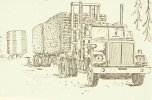 scan558.jpg