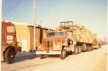 scan559.jpg