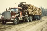 scan560.jpg