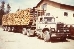 scan563.jpg