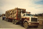 scan564.jpg