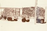 scan565.jpg