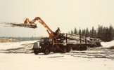scan572.jpg