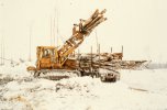 scan573.jpg