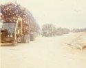 scan586.jpg
