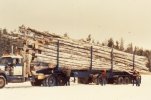 scan587.jpg