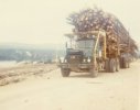scan589.jpg
