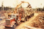 scan592.jpg