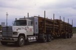 scan605.jpg