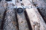 scan611.jpg