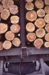 scan618.jpg