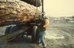 scan620.jpg