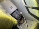 IMG_4170.jpeg