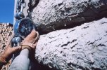 scan626.jpg