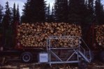 scan635.jpg