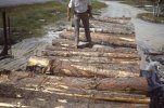 scan646.jpg