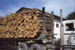 scan652.jpg