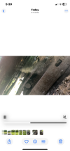 IMG_1494.png
