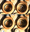 plungers-30degs.png