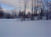 DSC01409.jpg