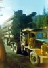 Doris's Photo - Logging Trucks of the Past.jpg